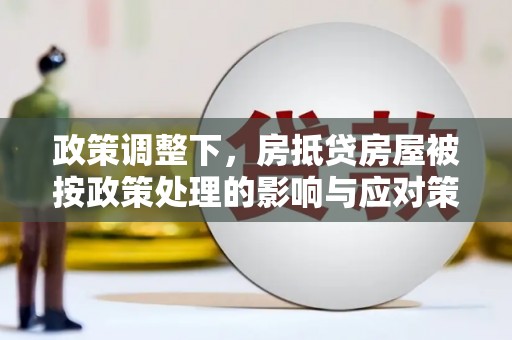 湛河政策调整下，房抵贷房屋被按政策处理的影响与应对策略