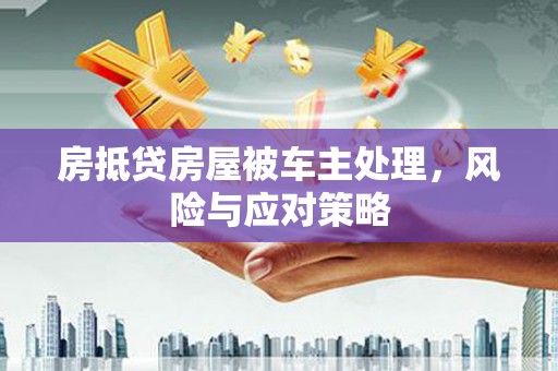 汤旺河房抵贷房屋被车主处理，风险与应对策略