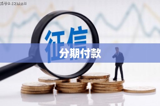 秀水分期付款