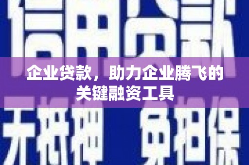 左贡企业贷款，助力企业腾飞的关键融资工具