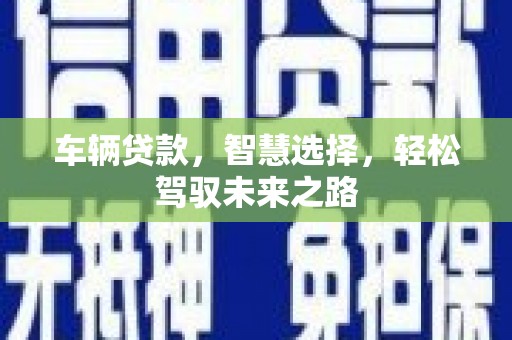 武清车辆贷款，智慧选择，轻松驾驭未来之路