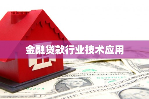 滨州金融贷款行业技术应用