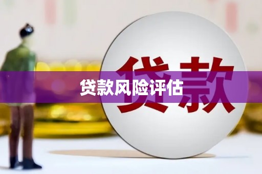 林内贷款风险评估