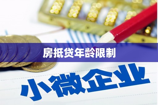 点军房抵贷年龄限制