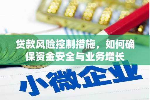 中坜贷款风险控制措施，如何确保资金安全与业务增长