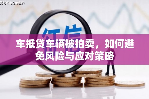 武陵源车抵贷车辆被拍卖，如何避免风险与应对策略
