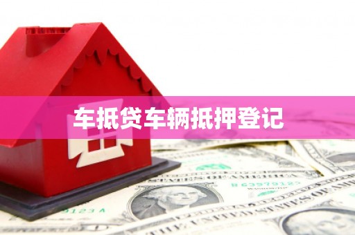邕宁车抵贷车辆抵押登记