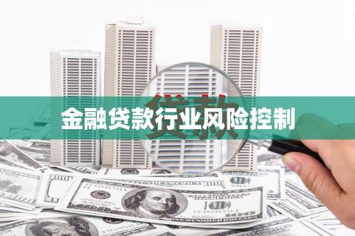 湘阴金融贷款行业风险控制