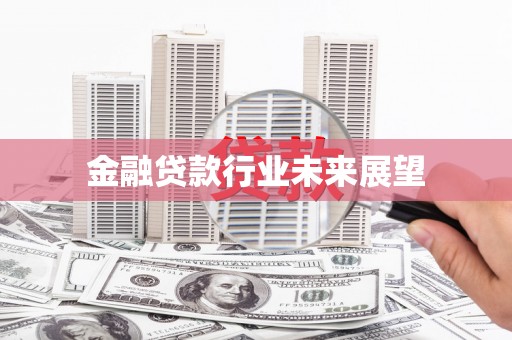 新会金融贷款行业未来展望