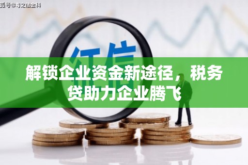 河间解锁企业资金新途径，税务贷助力企业腾飞