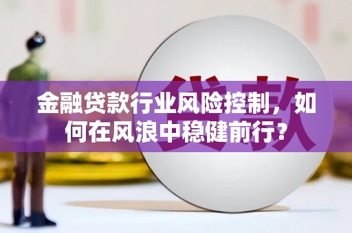 利辛金融贷款行业风险控制，如何在风浪中稳健前行？