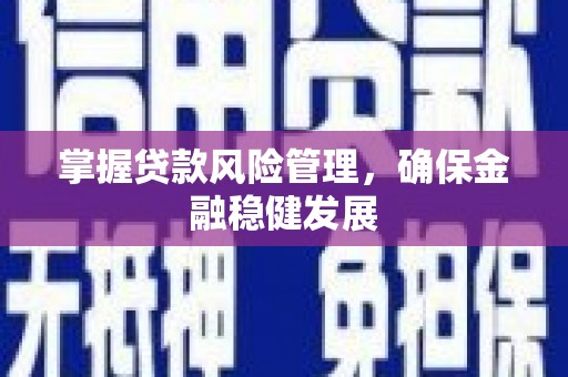 薛城掌握贷款风险管理，确保金融稳健发展