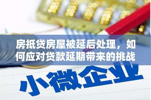 云岩房抵贷房屋被延后处理，如何应对贷款延期带来的挑战？