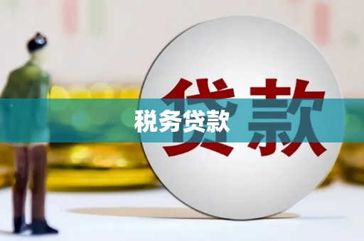 滴道税务贷款
