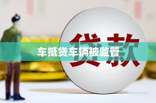 薛城车抵贷车辆被监管