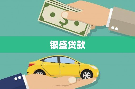永仁银盛贷款