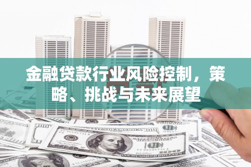 平塘金融贷款行业风险控制，策略、挑战与未来展望