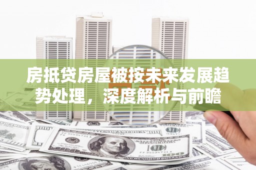 云岩房抵贷房屋被按未来发展趋势处理，深度解析与前瞻