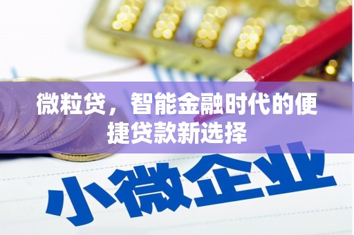 云岩微粒贷，智能金融时代的便捷贷款新选择