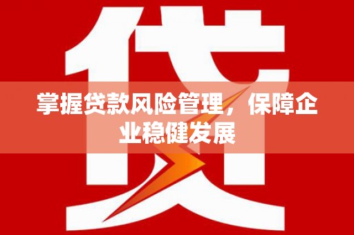 荣县掌握贷款风险管理，保障企业稳健发展