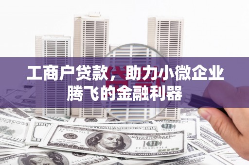 杉林工商户贷款，助力小微企业腾飞的金融利器