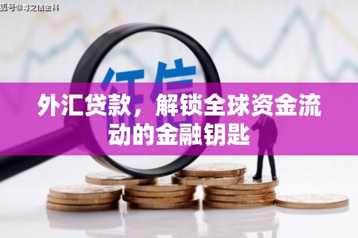 苏尼特右旗外汇贷款，解锁全球资金流动的金融钥匙