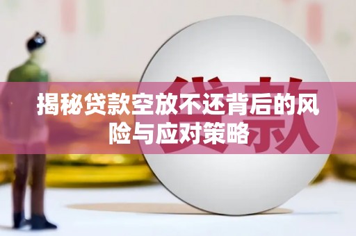 宝安揭秘贷款空放不还背后的风险与应对策略