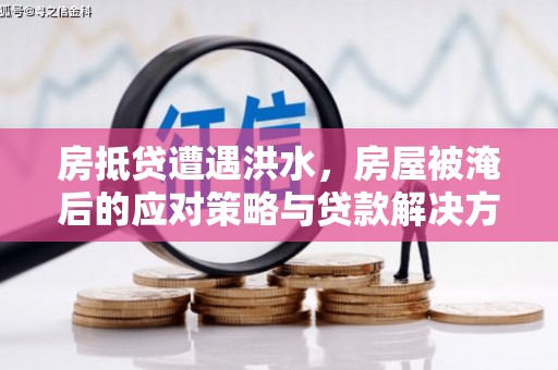 治多房抵贷遭遇洪水，房屋被淹后的应对策略与贷款解决方案