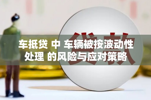 隆安车抵贷 中 车辆被按波动性处理 的风险与应对策略