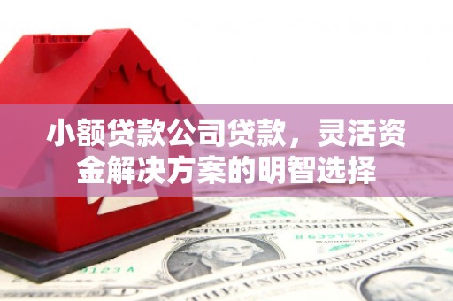 新荣小额贷款公司贷款，灵活资金解决方案的明智选择