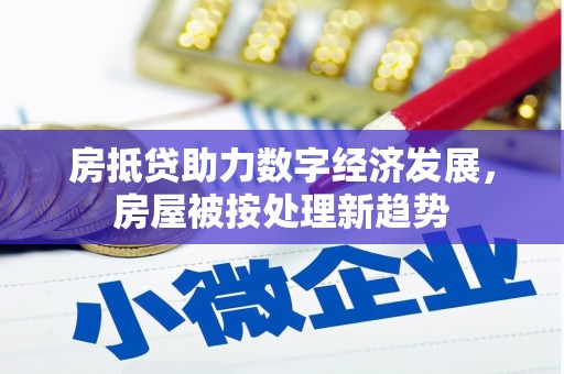 龙马潭房抵贷助力数字经济发展，房屋被按处理新趋势