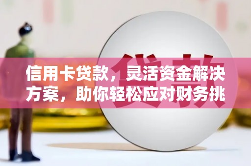 徐闻信用卡贷款，灵活资金解决方案，助你轻松应对财务挑战