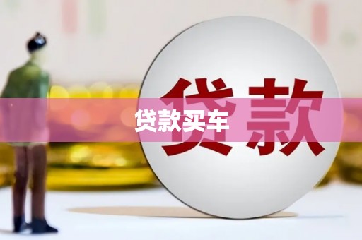 蓬安贷款买车