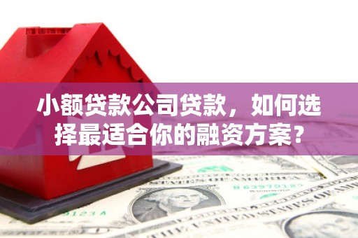禹会小额贷款公司贷款，如何选择最适合你的融资方案？