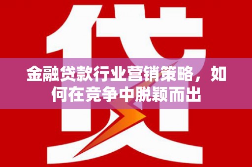 洪山金融贷款行业营销策略，如何在竞争中脱颖而出