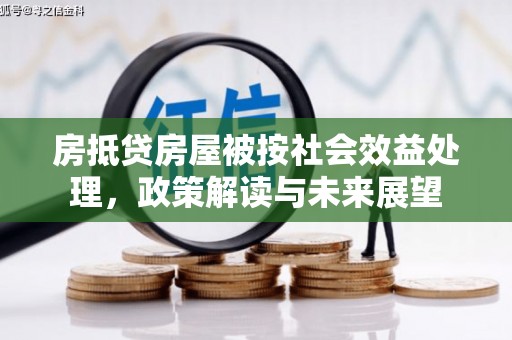 蓬安房抵贷房屋被按社会效益处理，政策解读与未来展望