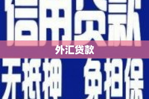 金华外汇贷款
