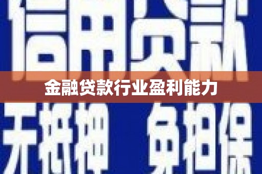 定结金融贷款行业盈利能力