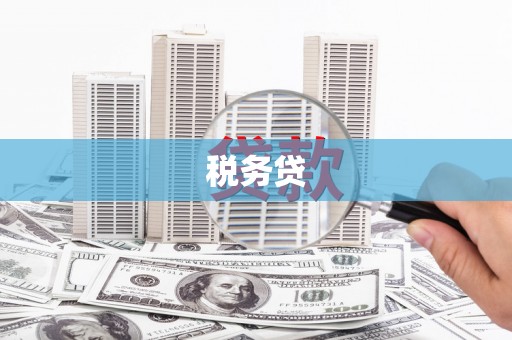 沅江税务贷