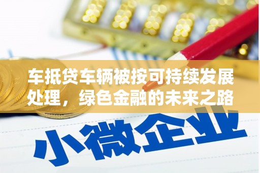 丽水车抵贷车辆被按可持续发展处理，绿色金融的未来之路