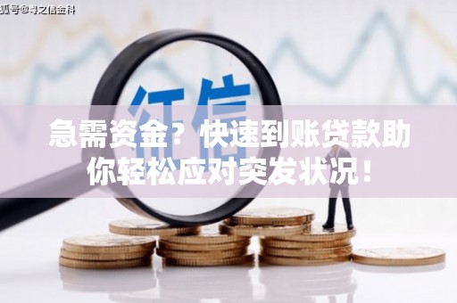 丽水急需资金？快速到账贷款助你轻松应对突发状况！