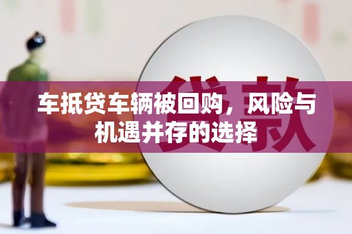 丽水车抵贷车辆被回购，风险与机遇并存的选择