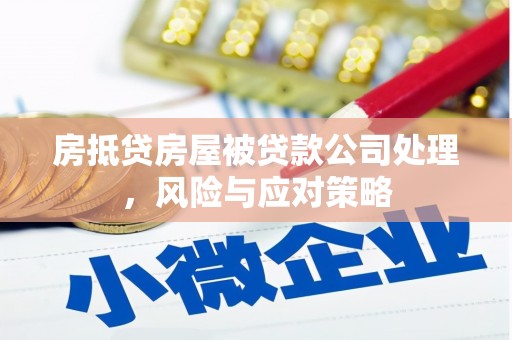 狮子山房抵贷房屋被贷款公司处理，风险与应对策略