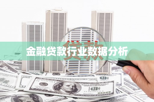 贞丰金融贷款行业数据分析
