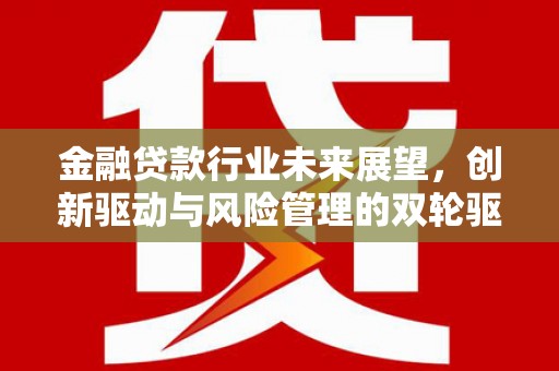 颍州金融贷款行业未来展望，创新驱动与风险管理的双轮驱动