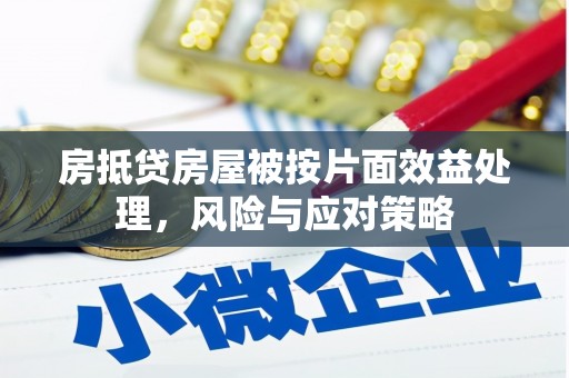 沙市房抵贷房屋被按片面效益处理，风险与应对策略