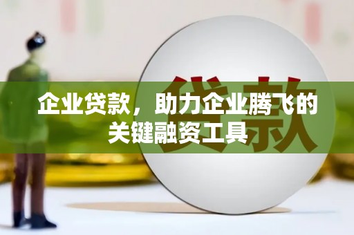 通山企业贷款，助力企业腾飞的关键融资工具