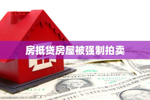 通山房抵贷房屋被强制拍卖