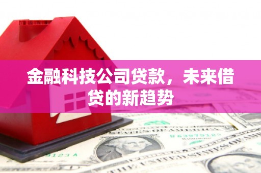丽水金融科技公司贷款，未来借贷的新趋势