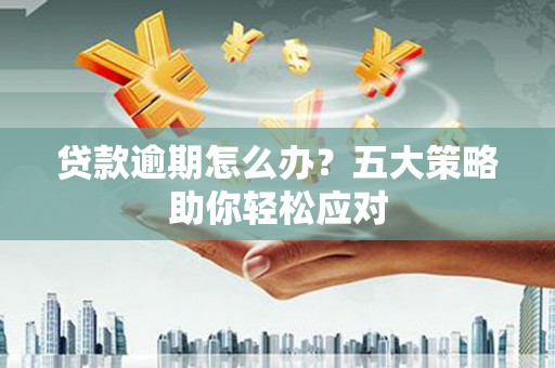 清丰贷款逾期怎么办？五大策略助你轻松应对